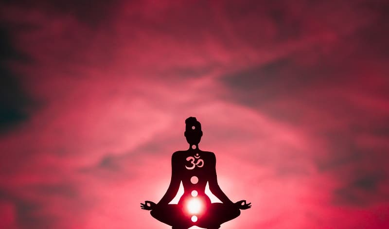 Illustration of a figure showing chakras - the color Pink shows the Root Chakra